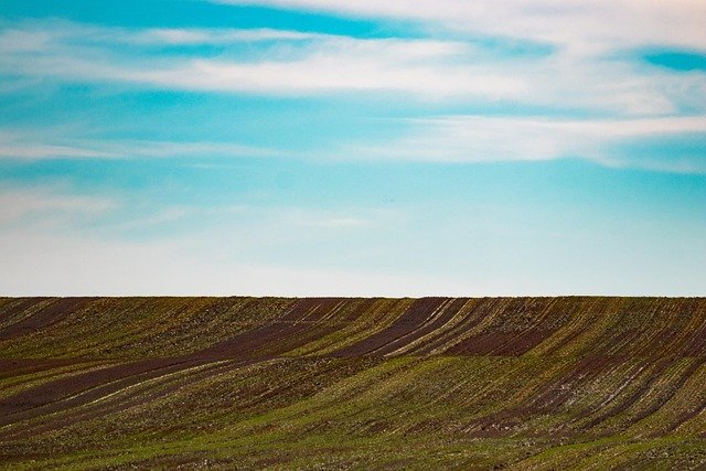30 years ago, a Texas family donated land for a public park.